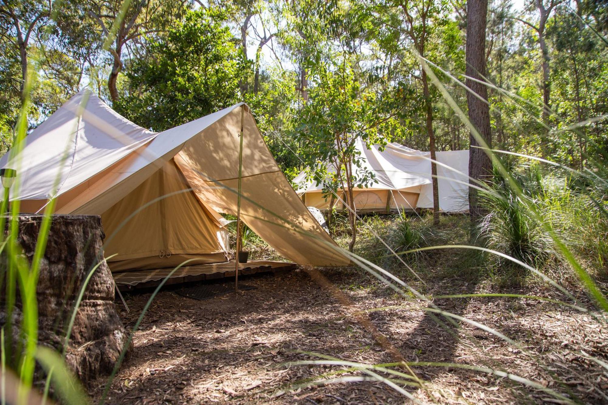 Campsite 1770 Eco Camp