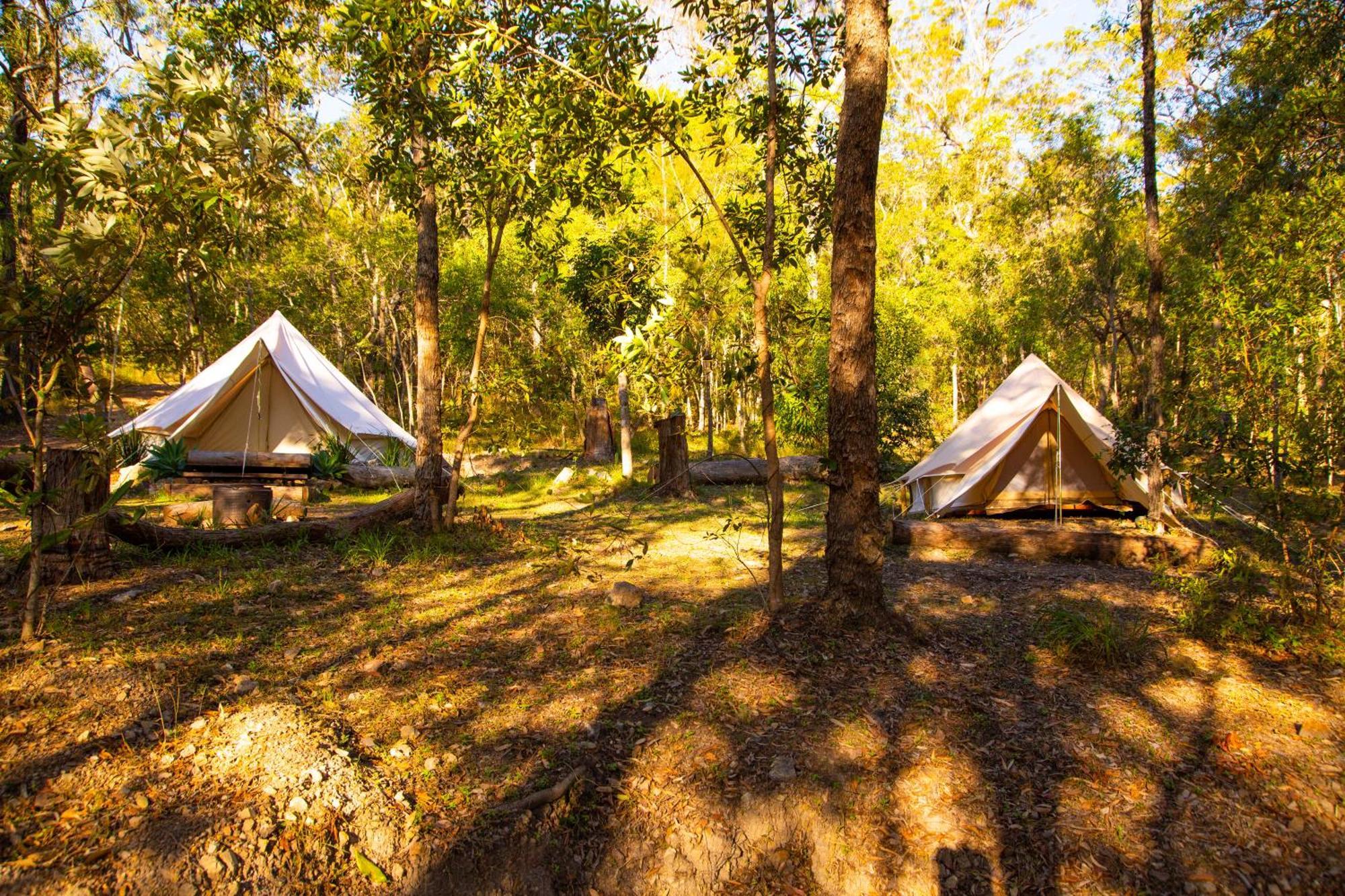 1770 Eco Camp * Agnes Water