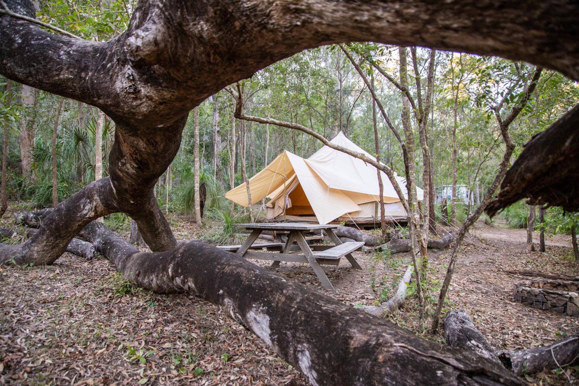 1770 Eco Camp *