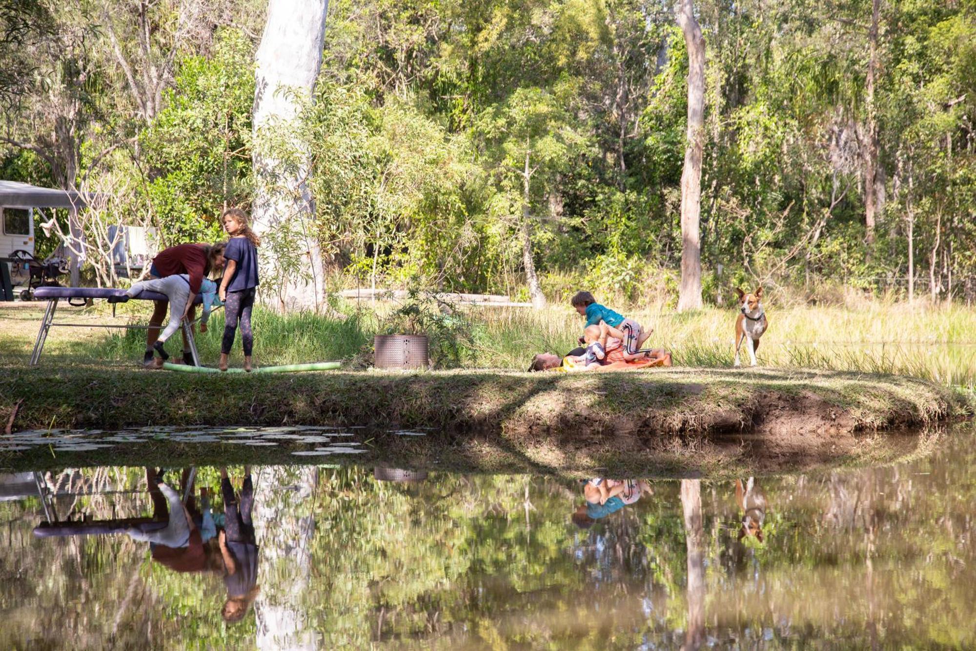 Campsite 1770 Eco Camp