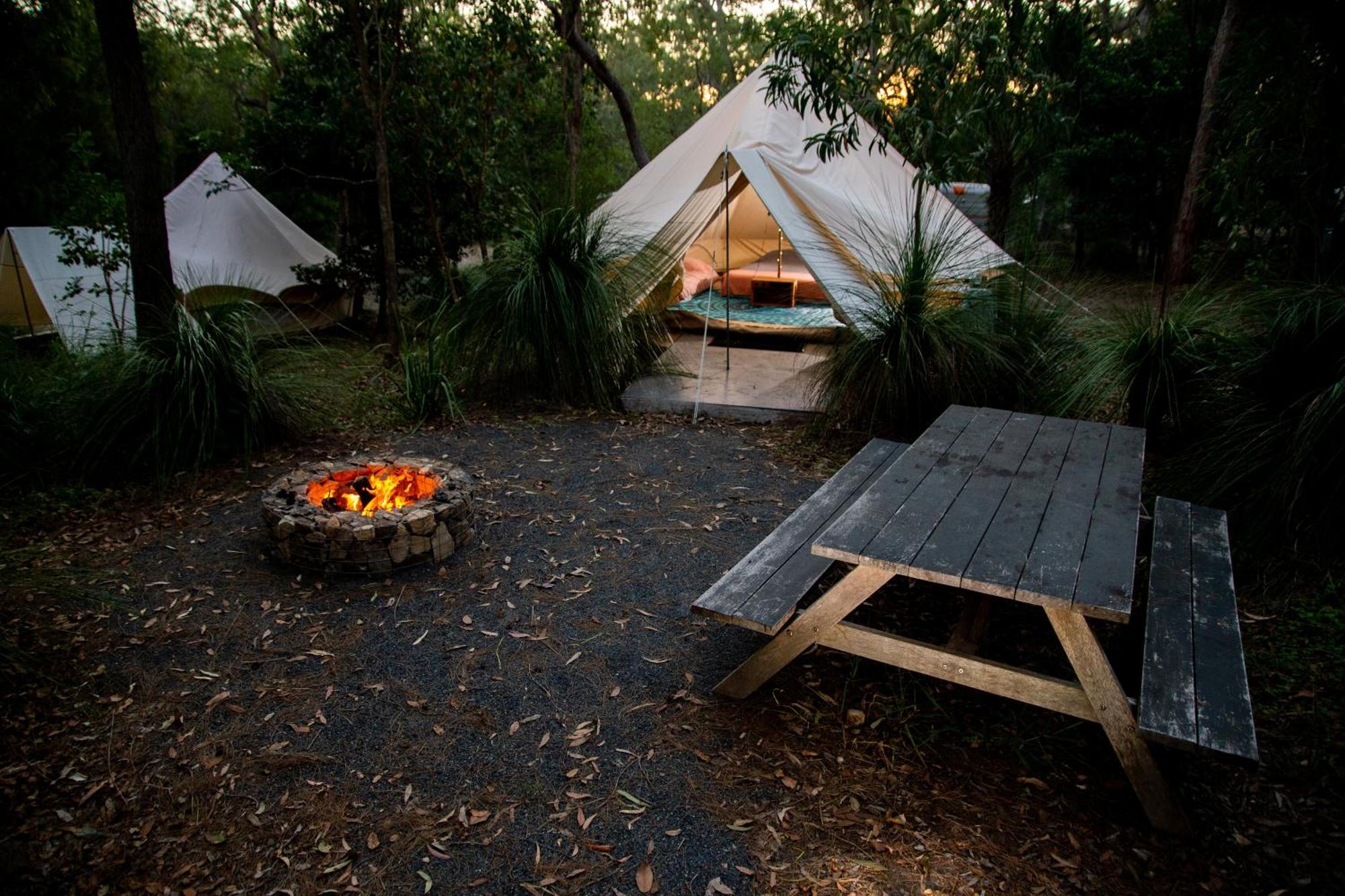 Campsite 1770 Eco Camp
