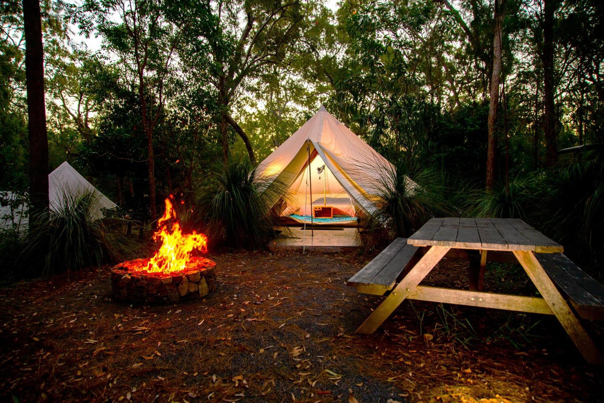 Campsite 1770 Eco Camp